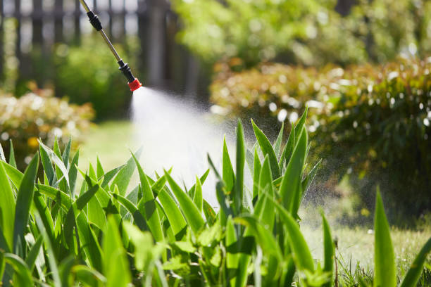 24/7 Emergency Wasp Removal experts in Shepherd, MI