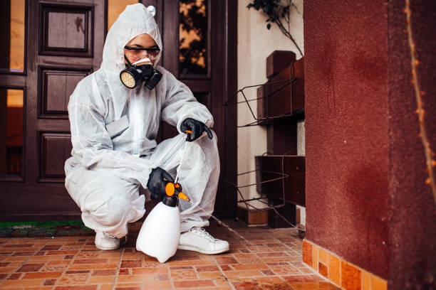 Reliable Wasp Removal contractor in Shepherd, MI by Show Me Pest Control