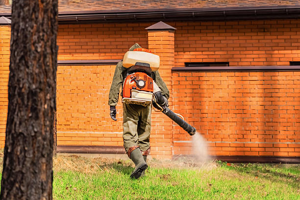 Top rated local Wasp Removal specialists in Shepherd, MI